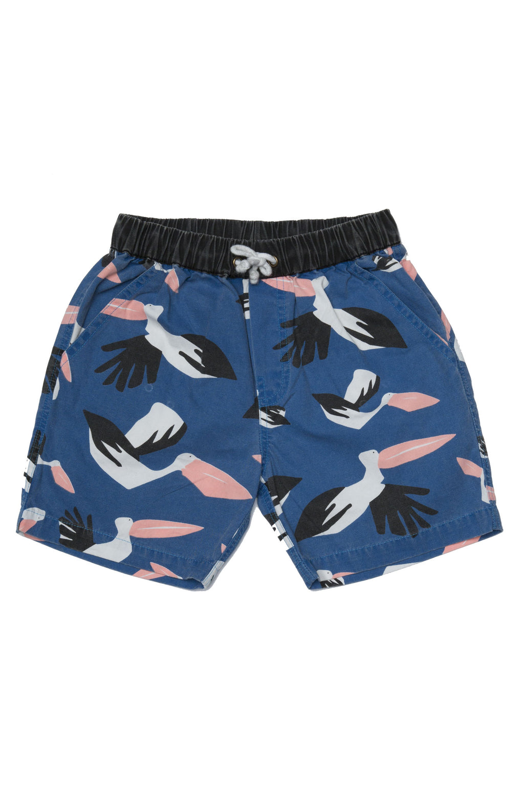 PELICAN BOAT SHORT NAVY - Zuttion